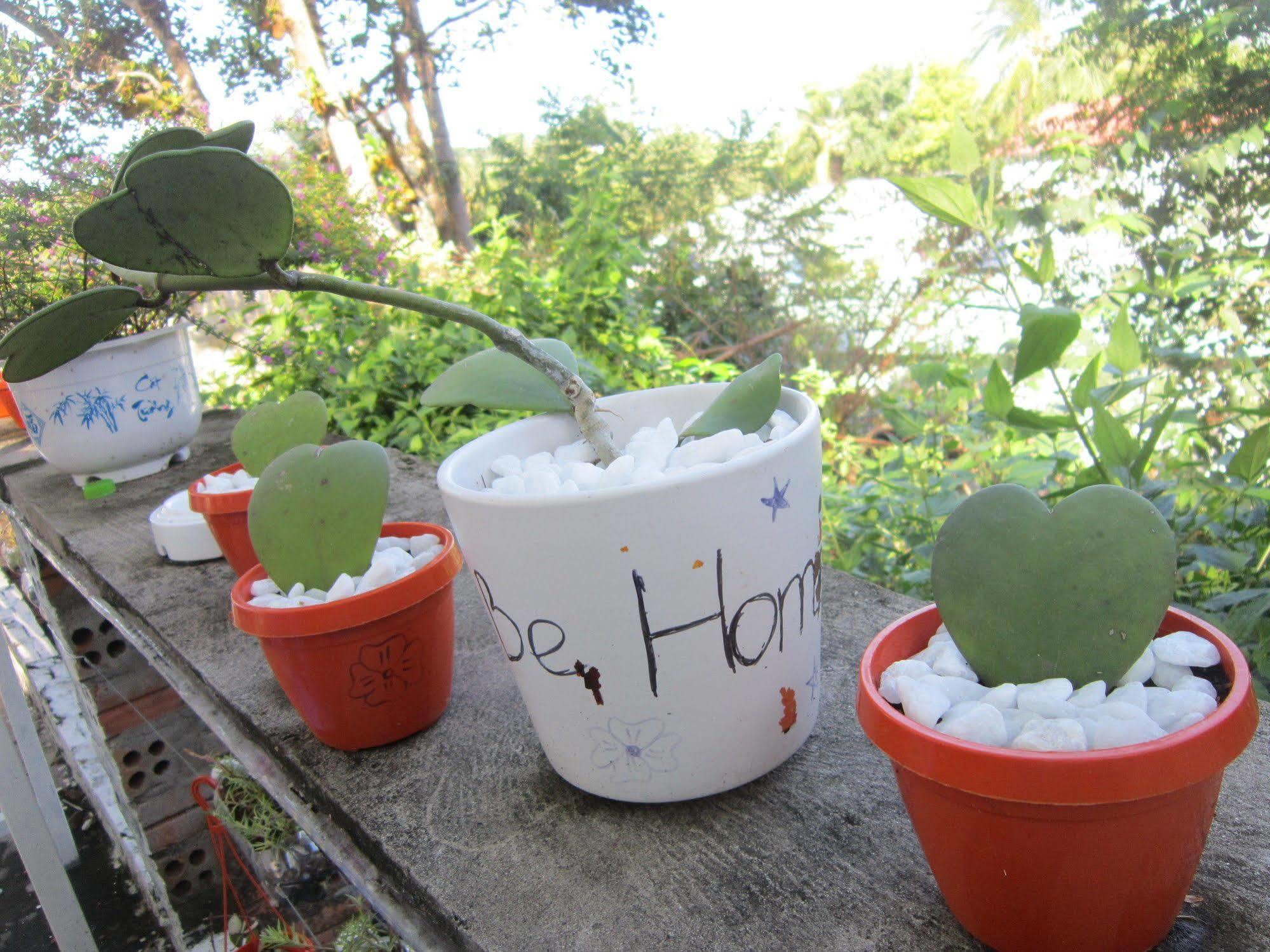 Be Home Hostel Phu Quoc Exterior photo