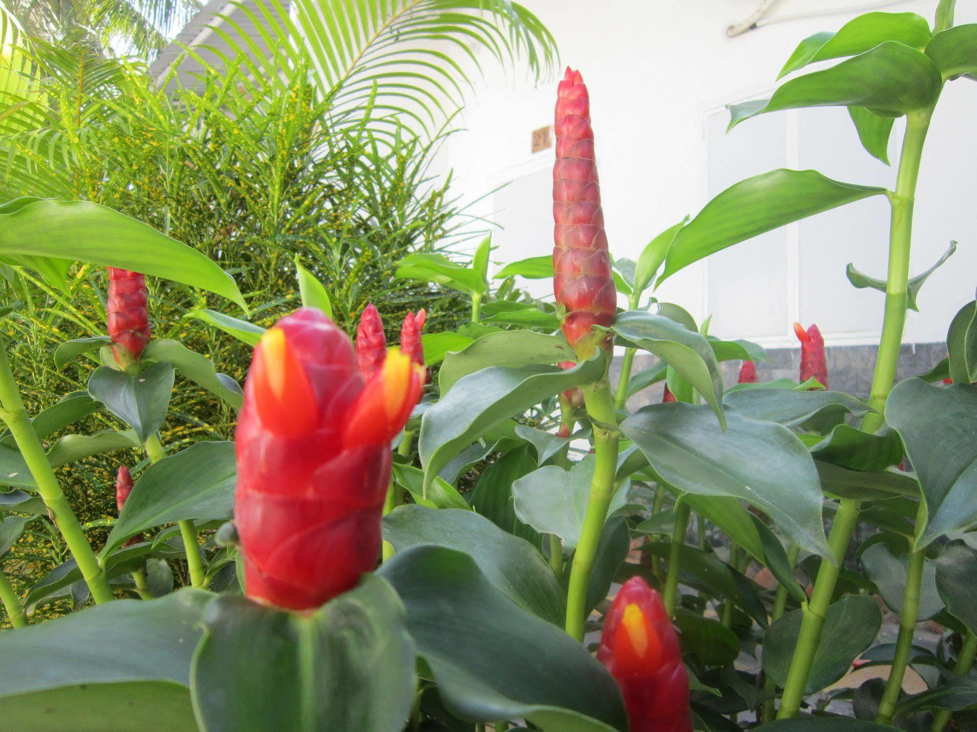 Be Home Hostel Phu Quoc Exterior photo